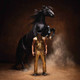 Orville Peck - Bronco Vinyl Record Album Art