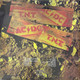 Actual image of the back cover of AC/DC's T.N.T. second hand vinyl record taken in our Melbourne record shop