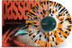 Picture of Passenger Vinyl Record