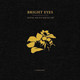 Bright Eyes - Digital Ash In A Digital Urn (A Companion) Vinyl Record Album Art