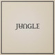 Jungle - Loving In Stereo Vinyl Record Album Art