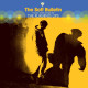 The Flaming Lips - The Soft Bulletin Vinyl Record Album Art