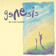 Genesis - We Can't Dance Vinyl Record Album Art