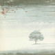 Genesis - Wind & Wuthering Vinyl Record Album Art