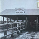 Actual image of the back cover of Ross Ryan's ...My Name Means Horse second hand vinyl record taken in our Melbourne record shop