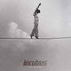 Incubus  - If Not Now, When? Vinyl Record Album Art