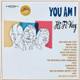 You Am I - Hi Fi Way Vinyl Record Album Art