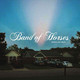 Band Of Horses - Things Are Great Vinyl Record Album Art