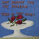 Nick Murphy - Take In The Roses Vinyl Record Album Art