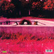 Picture of Hot Rats Vinyl Record