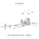 PJ Harvey - Let England Shake - Demos Vinyl Record Album Art