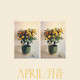 Emmy The Great - April / 月音 Vinyl Record Album Art