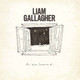Liam Gallagher - All You're Dreaming Of... Vinyl Record Album Art