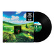 Rainbow Kitten Surprise - bones Vinyl Record Album Art
