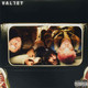 Valley - Last Birthday Vinyl Record Album Art