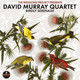 David Murray Quartet - Birdly Serenade Vinyl Record Album Art