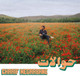 CHARIF MEGARBANE - HAWALAT Vinyl Record Album Art