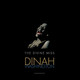 Dinah Washington - The Divine Miss Dinah Washington Vinyl Record Album Art