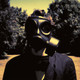 Steven Wilson - Insurgentes Vinyl Record Album Art
