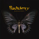 Buckcherry - Black Butterfly Vinyl Record Album Art