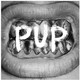 Pup - Pup Vinyl Record Album Art
