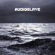 Audioslave - Out Of Exile Vinyl Record Album Art