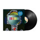 Picture of The Mountain Will Fall Vinyl Record