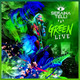 Seraina Telli - Green Live Vinyl Record Album Art