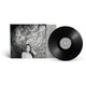 Picture of The Meaning Of Flowers Vinyl Record