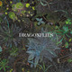 Dragonflies - Dragonflies Vinyl Record Album Art