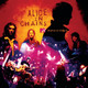 Alice In Chains - Unplugged Vinyl Record Album Art