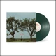 Picture of Ramblin' Vinyl Record