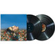 Picture of Magnolia (2025 Mix) Vinyl Record