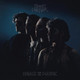 Greta Van Fleet - Palace For The People Vinyl Record Album Art
