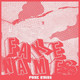 Fake Names - Punk Ruins Vinyl Record Album Art