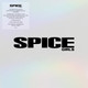 Spice Girls - The Singles Collection Vinyl Record Album Art