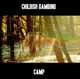 Childish Gambino - Camp Vinyl Record Album Art