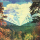 Tame Impala - Innerspeaker Vinyl Record Album Art