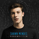 Shawn Mendes - Handwritten Vinyl Record Album Art