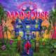 Tones And I - Welcome to the Madhouse Vinyl Record Album Art