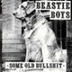 Beastie Boys - Some Old Bullshit Vinyl Record Album Art
