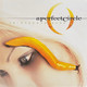 A Perfect Circle - Thirteenth Step Vinyl Record Album Art