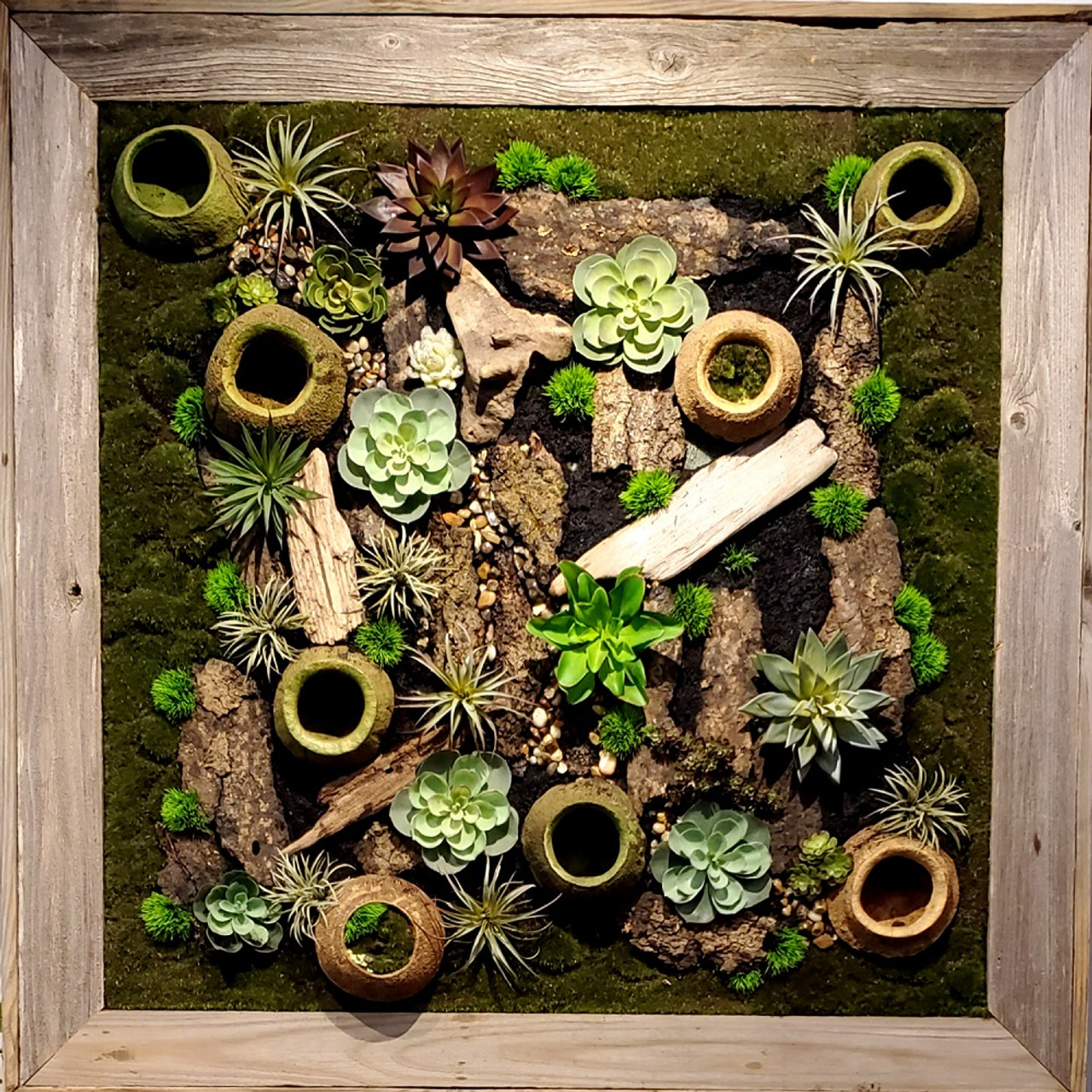 Succulent green wall with driftwood on wood frame