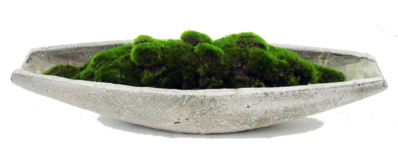 Moss in large Round Cement Bowl