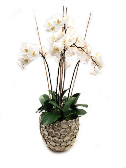 White orchids in decorative vase 