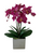 Orchids In Silver Container