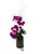 Tall Fuchsia Orchid Arrangement
