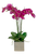 Orchids in Square Vase