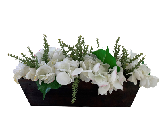 Crassula and Hydrangea in Wood 