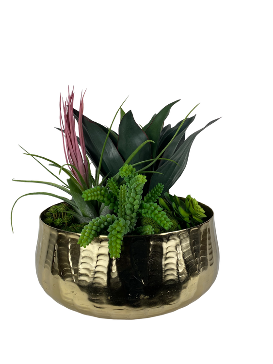 Succulent Garden In Gold Bowl